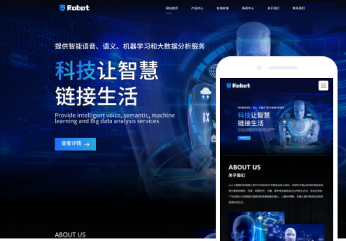 定西網站開發(fā)公司